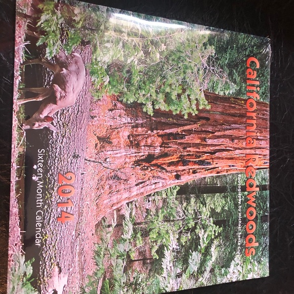 7529 Spring Carrot Patch VTG Blue Farm Truck Wood Sign Glittery Blue. - Picture 8 of 9